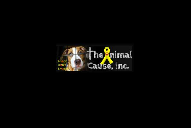 The Animal Cause Inc